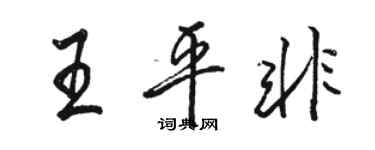 駱恆光王平非行書個性簽名怎么寫