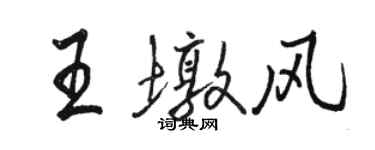 駱恆光王墩風行書個性簽名怎么寫