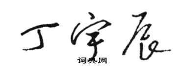 駱恆光丁宇辰草書個性簽名怎么寫