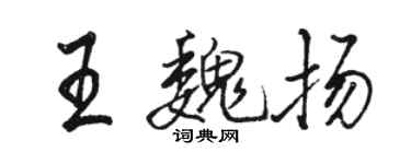 駱恆光王魏揚行書個性簽名怎么寫