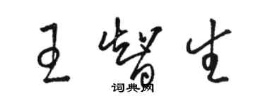 駱恆光王智生草書個性簽名怎么寫