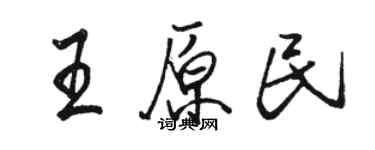 駱恆光王原民行書個性簽名怎么寫