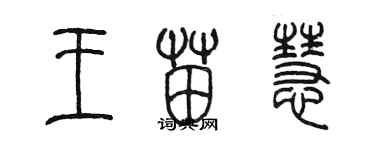 陳墨王苗慧篆書個性簽名怎么寫