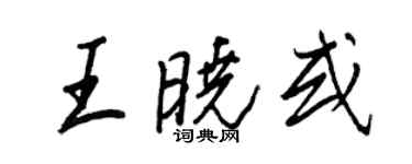 王正良王曉或行書個性簽名怎么寫