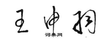 駱恆光王申羽草書個性簽名怎么寫