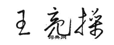 駱恆光王亮操草書個性簽名怎么寫