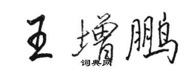 駱恆光王增鵬行書個性簽名怎么寫