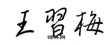王正良王習梅行書個性簽名怎么寫