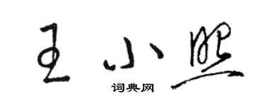 駱恆光王小照草書個性簽名怎么寫