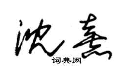 朱錫榮沈熹草書個性簽名怎么寫