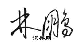 駱恆光林鵬草書個性簽名怎么寫