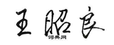 駱恆光王昭良行書個性簽名怎么寫