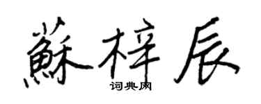 王正良蘇梓辰行書個性簽名怎么寫