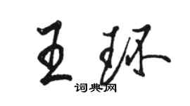 駱恆光王環行書個性簽名怎么寫