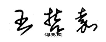 朱錫榮王哲嘉草書個性簽名怎么寫