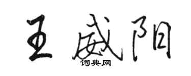 駱恆光王威陽行書個性簽名怎么寫