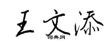 王正良王文添行書個性簽名怎么寫