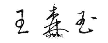 駱恆光王森玉草書個性簽名怎么寫