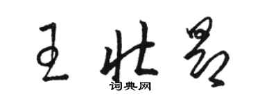 駱恆光王壯昂草書個性簽名怎么寫