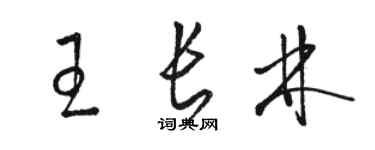駱恆光王長林草書個性簽名怎么寫