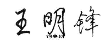 駱恆光王明鋒行書個性簽名怎么寫