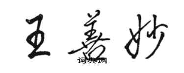 駱恆光王善妙行書個性簽名怎么寫