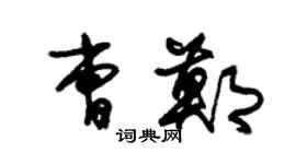 朱錫榮曹鄭草書個性簽名怎么寫