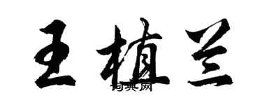 胡問遂王植蘭行書個性簽名怎么寫