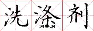 丁謙洗滌劑楷書怎么寫