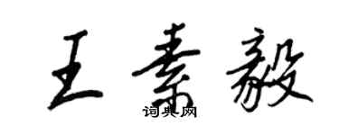 王正良王素毅行書個性簽名怎么寫