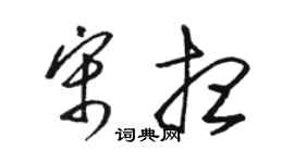 駱恆光宋想草書個性簽名怎么寫