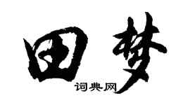 胡問遂田夢行書個性簽名怎么寫