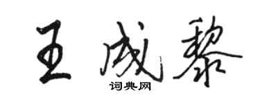 駱恆光王成黎行書個性簽名怎么寫