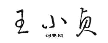 駱恆光王小貞草書個性簽名怎么寫