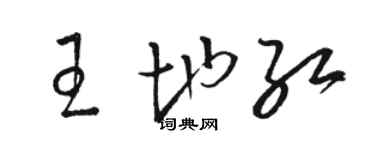 駱恆光王地紅草書個性簽名怎么寫