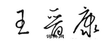 駱恆光王晉康草書個性簽名怎么寫