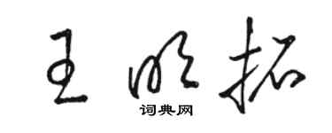 駱恆光王明拓草書個性簽名怎么寫