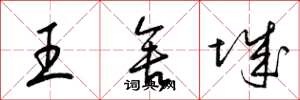 梁錦英王舍城草書怎么寫
