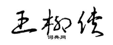曾慶福王柳俠草書個性簽名怎么寫