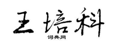 曾慶福王培科行書個性簽名怎么寫