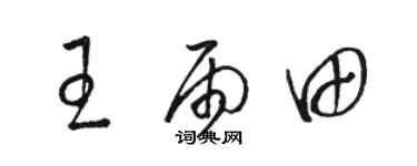 駱恆光王雨田草書個性簽名怎么寫