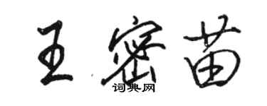 駱恆光王密苗行書個性簽名怎么寫