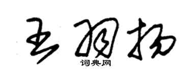 朱錫榮王羽揚草書個性簽名怎么寫