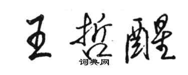 駱恆光王哲醒行書個性簽名怎么寫