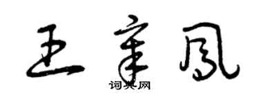 曾慶福王章鳳草書個性簽名怎么寫