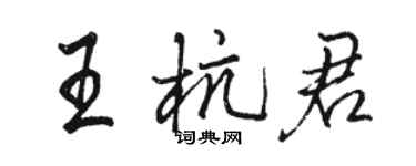 駱恆光王杭君行書個性簽名怎么寫