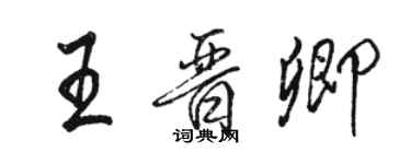 駱恆光王晉卿行書個性簽名怎么寫