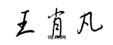 王正良王肖凡行書個性簽名怎么寫