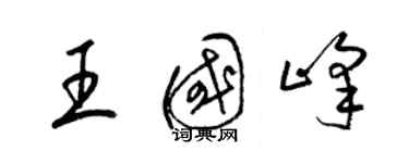 梁錦英王國峰草書個性簽名怎么寫
