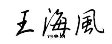 王正良王海風行書個性簽名怎么寫